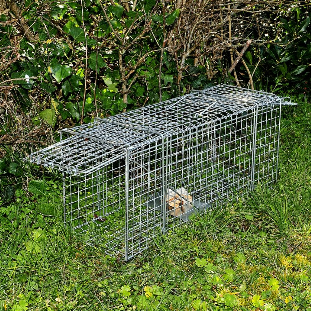 CAGE NUISIBLES DOUBLE ENTRÉE 33 CM (4)