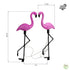 products/6117_FLAMANTS-ROSES-SOLAIRES-X3-WEB_dimensions-logo-V2.jpg