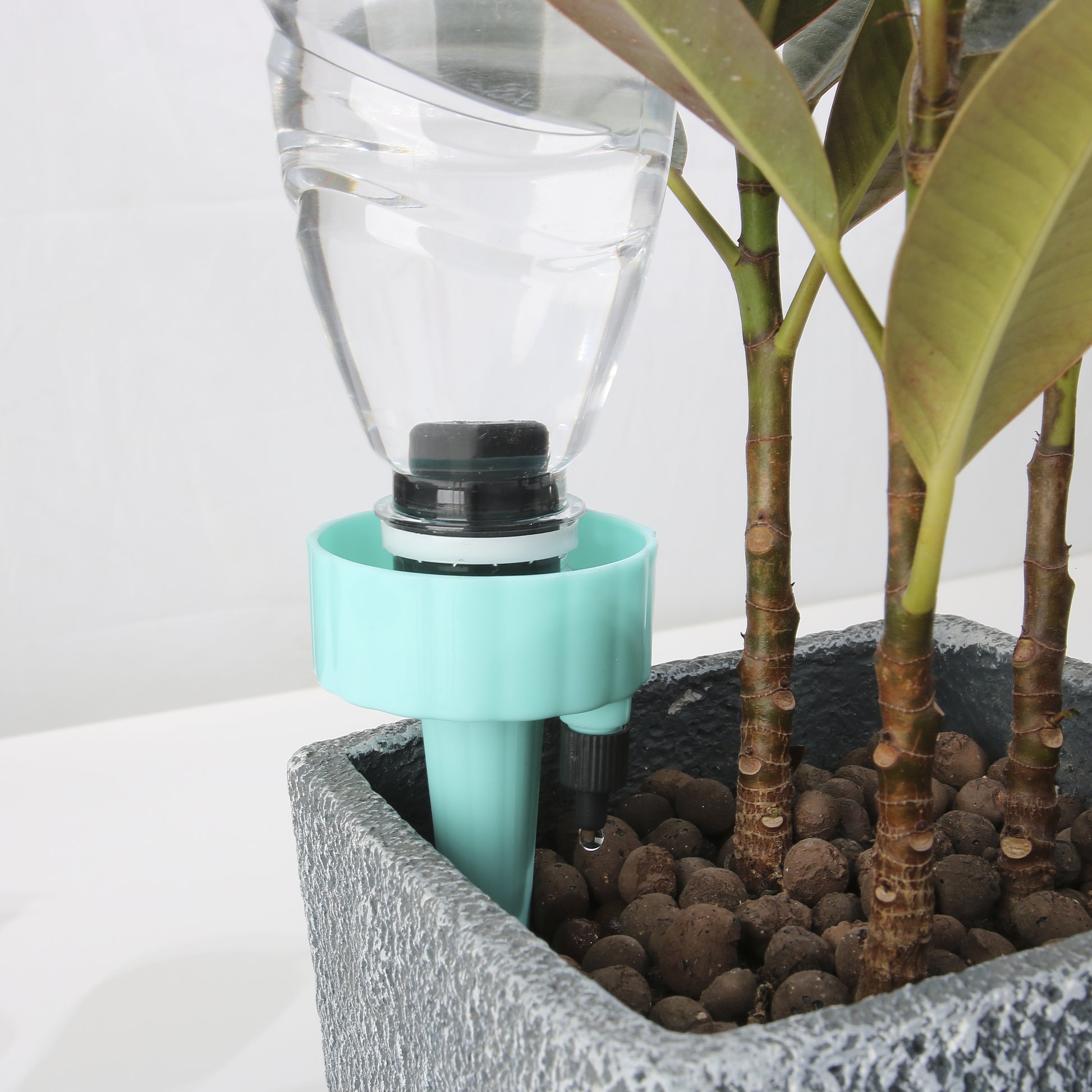 DISTRIBUTEURS D'EAU POUR PLANTES X12 (5)
