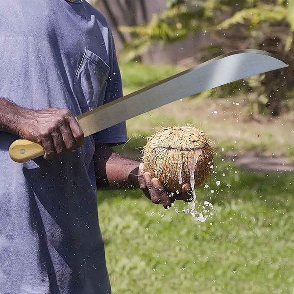 MACHETTE AVEC ÉTUI (4)