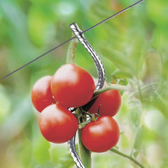 TUTEURS À TOMATES AGRIPPANTS AVEC CHAS X5 (1)